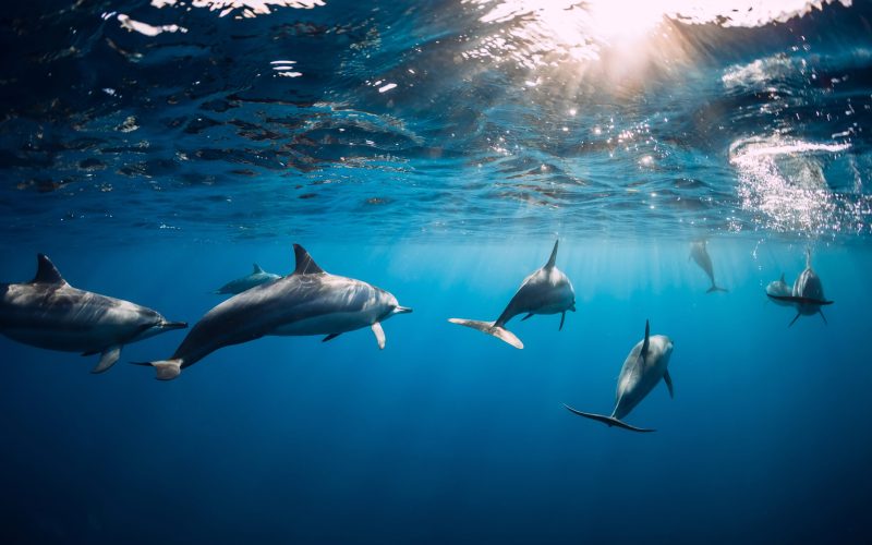 PHOTO: SHUTTERSTOCK